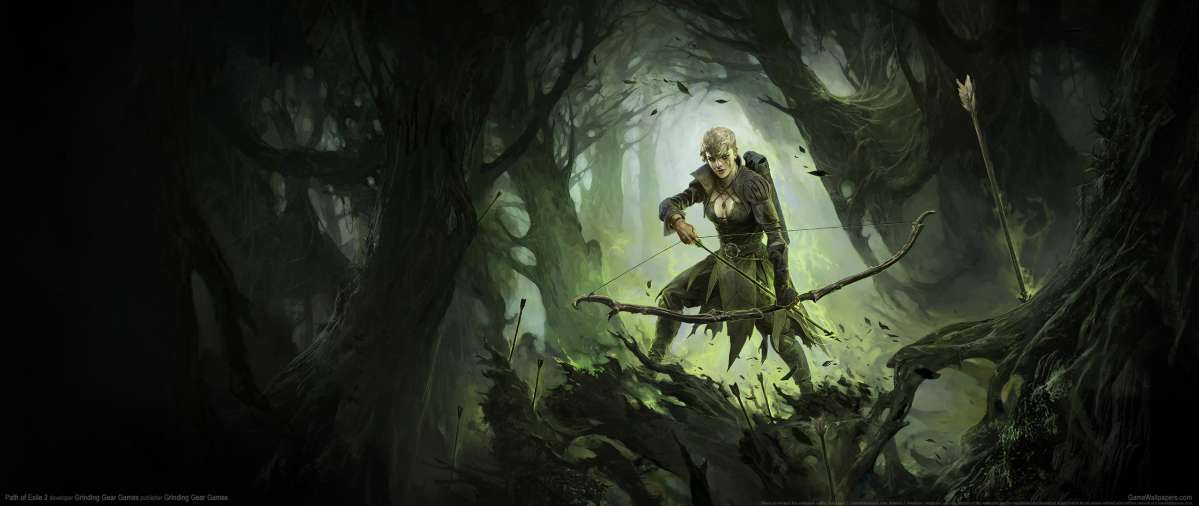 Path of Exile 2 wallpaper or background