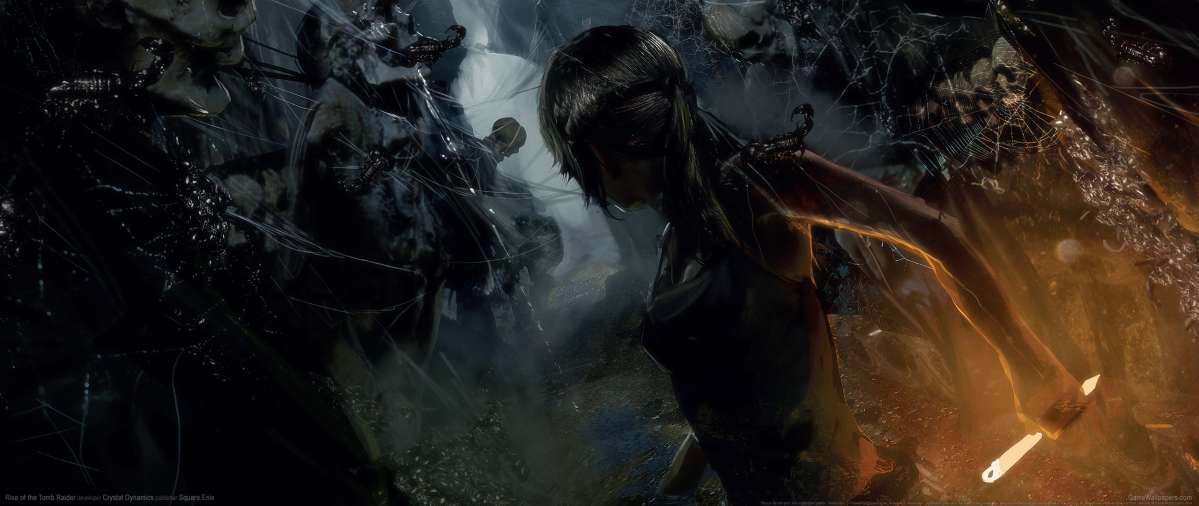 Rise of the Tomb Raider wallpaper or background