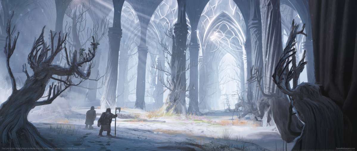 The Lord of the Rings: Return to Moria wallpaper or background