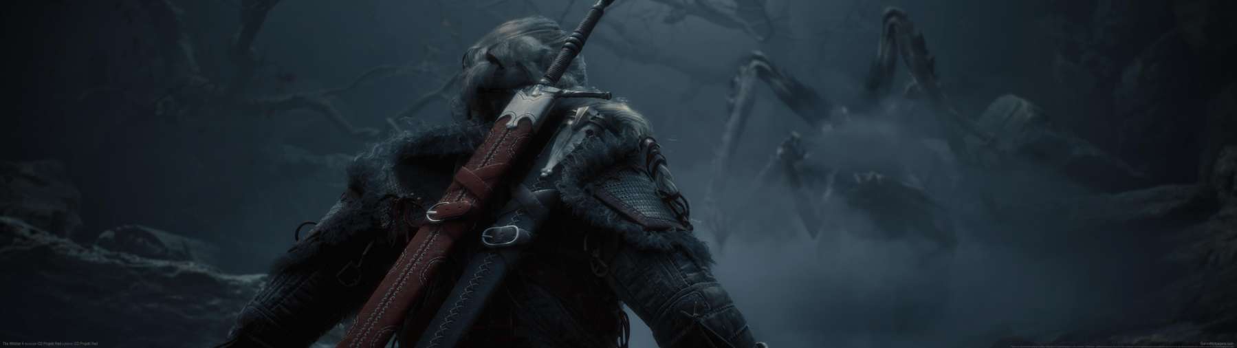The Witcher 4 wallpaper or background