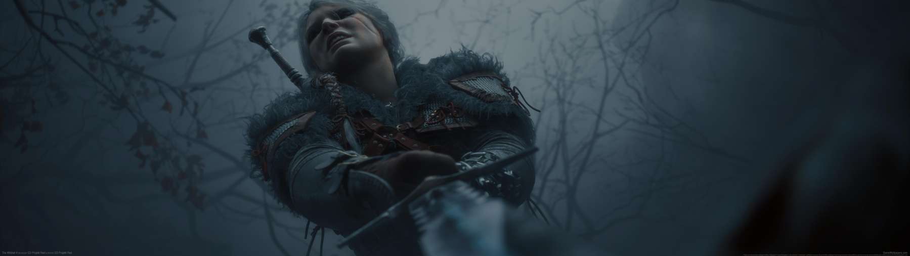 The Witcher 4 wallpaper or background