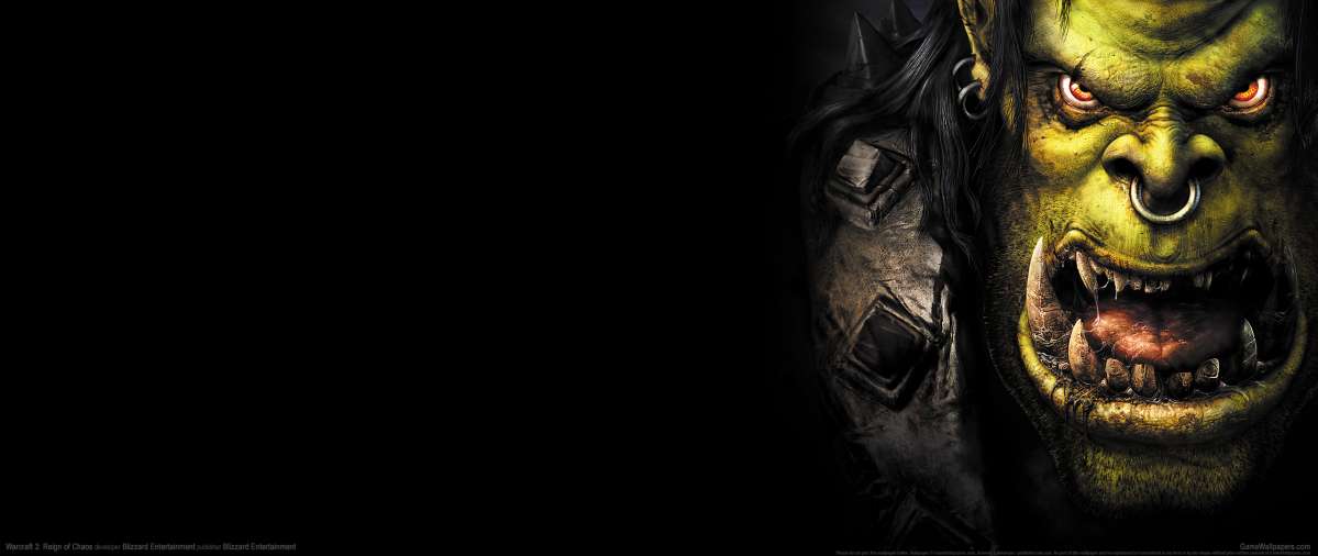 Warcraft 3: Reign of Chaos wallpaper or background