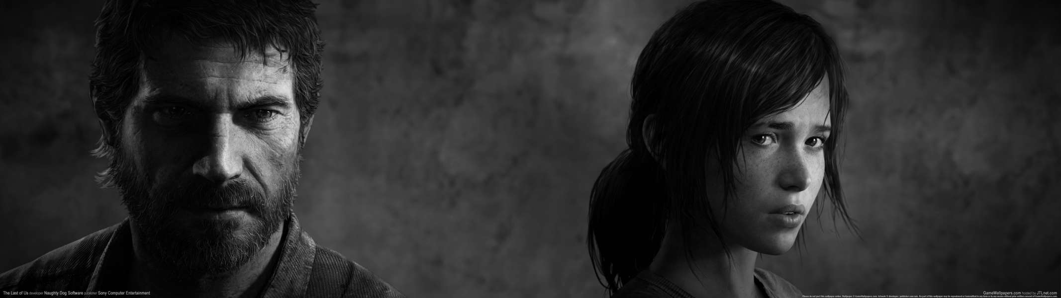 The Last of Us dual screen wallpaper or background