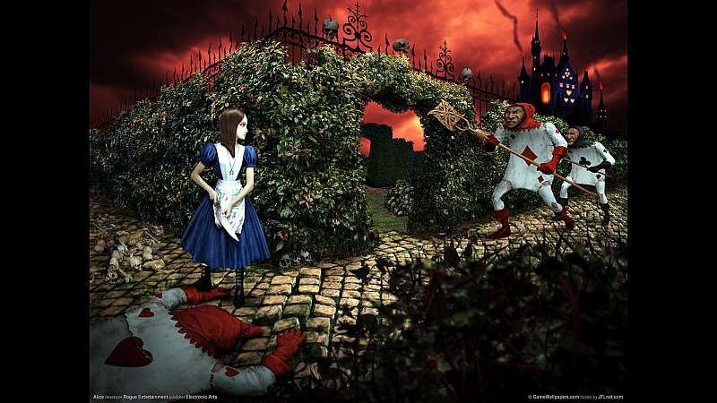 Alice wallpaper or background