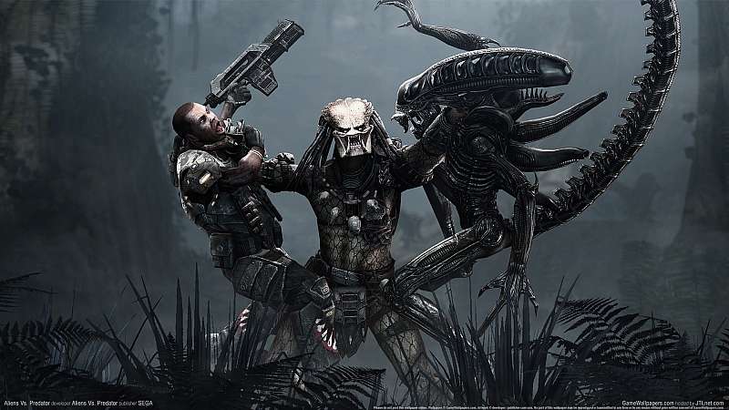 Aliens Vs. Predator wallpaper or background
