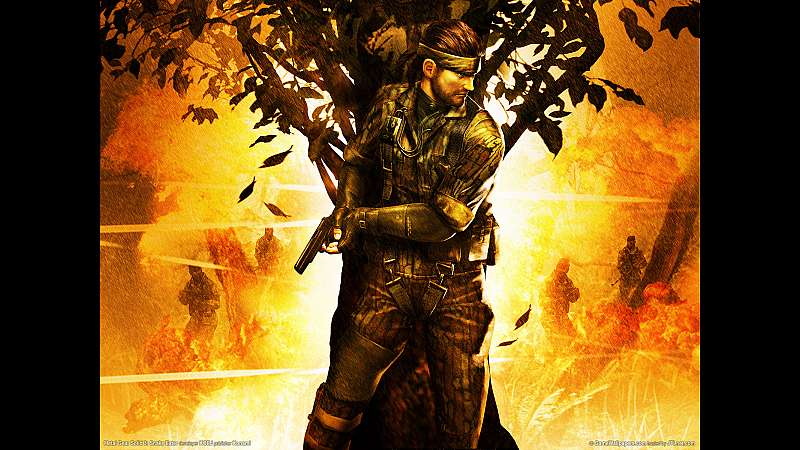 Metal Gear Solid 3: Snake Eater wallpaper or background