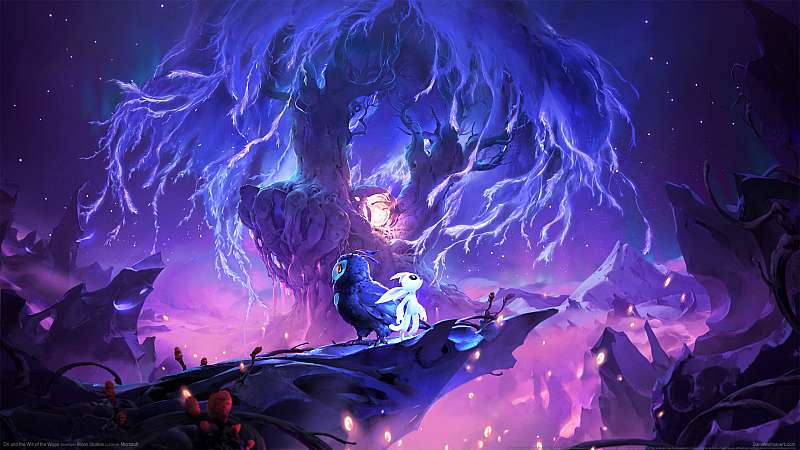 Ori and the Will of Wisps wallpaper or background