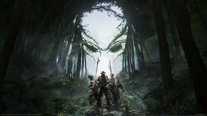 Predator: Hunting Grounds wallpaper or background