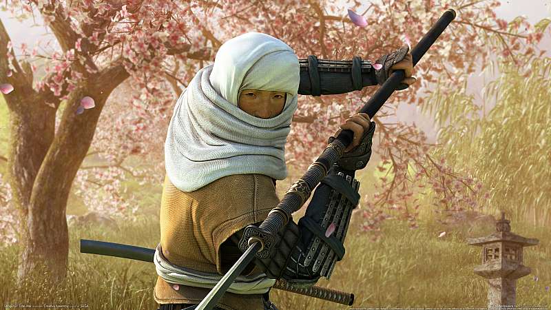 Shogun 2: Total War wallpaper or background