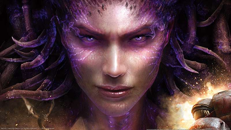 StarCraft 2: Heart of the Swarm wallpaper or background