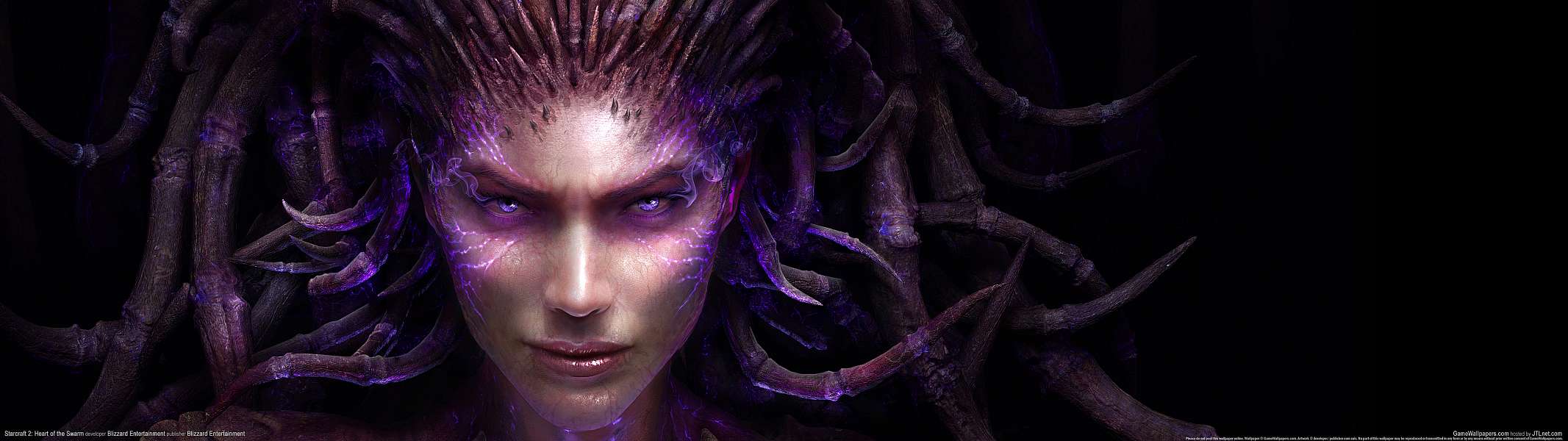 StarCraft 2: Heart of the Swarm dual screen wallpaper or background