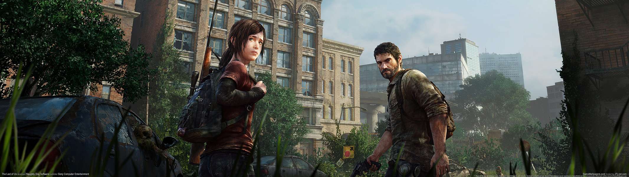 The Last of Us dual screen wallpaper or background