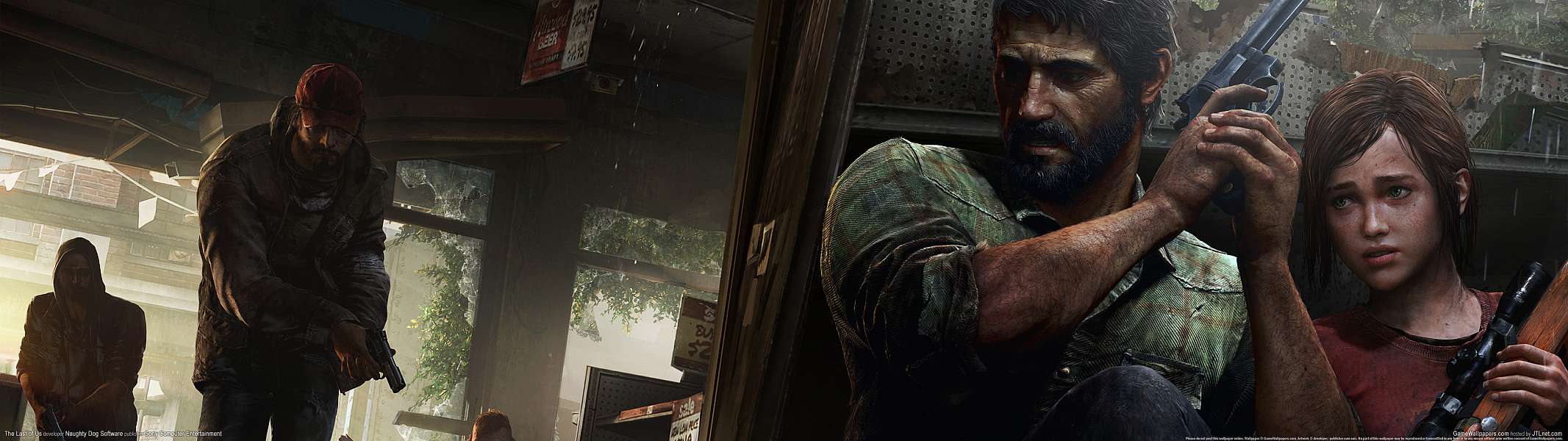 The Last of Us dual screen wallpaper or background