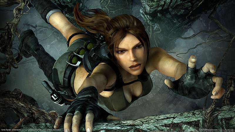 Tomb Raider: Underworld wallpaper or background