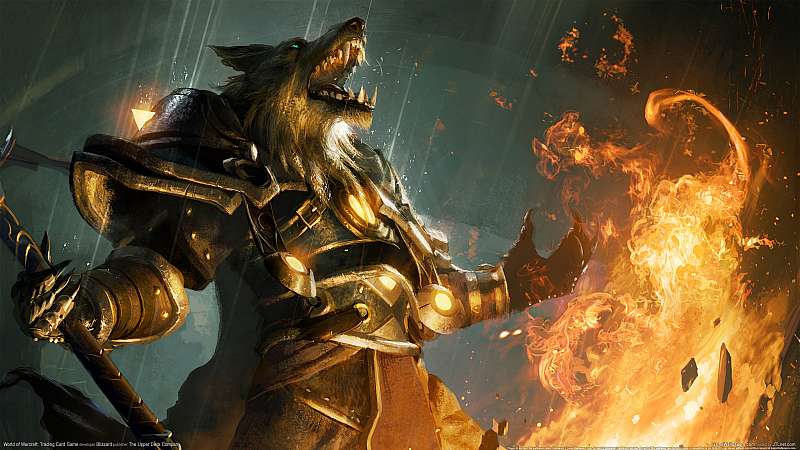 World of Warcraft: Trading Card Game wallpaper or background