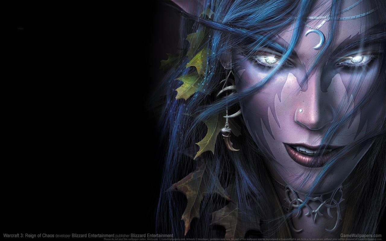 Warcraft 3: Reign of Chaos 1280x800 Hintergrundbild 23