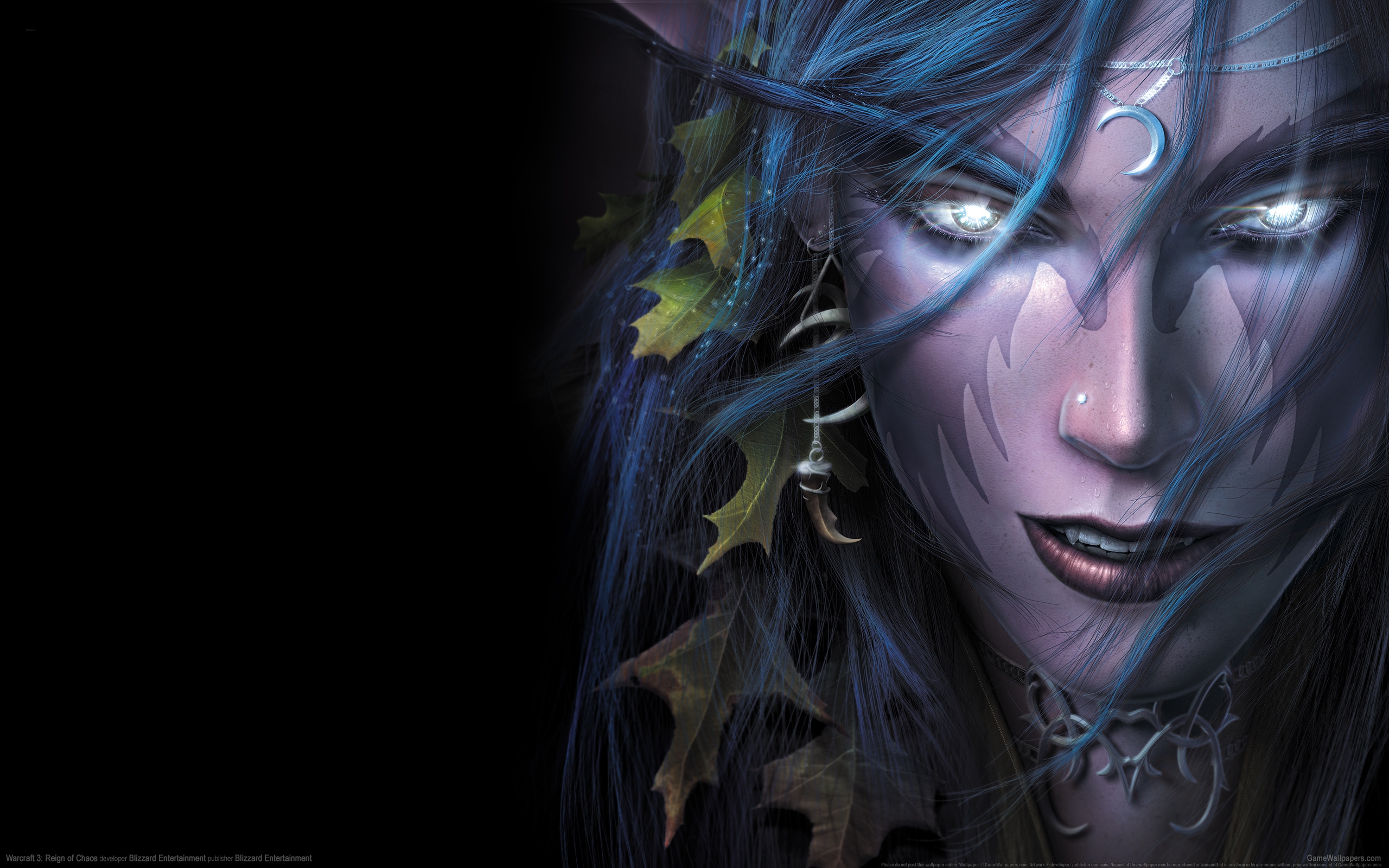 Warcraft 3: Reign of Chaos 2560x1600 Hintergrundbild 23