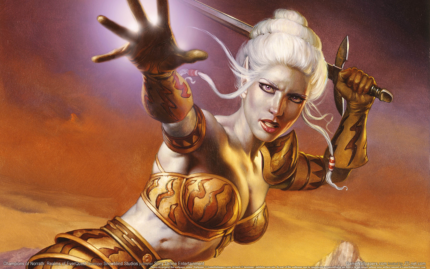 Champions of Norrath: Realms of EverQuest 1440x900 Hintergrundbild 04