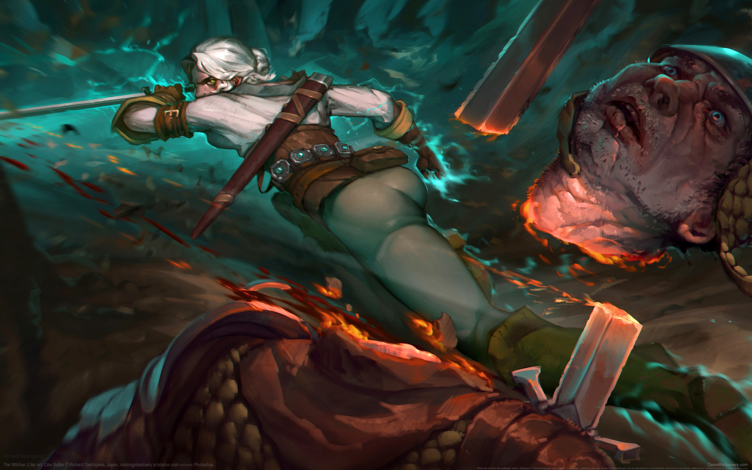 The Witcher 3 fan art 2560x1600 wallpaper or background 01