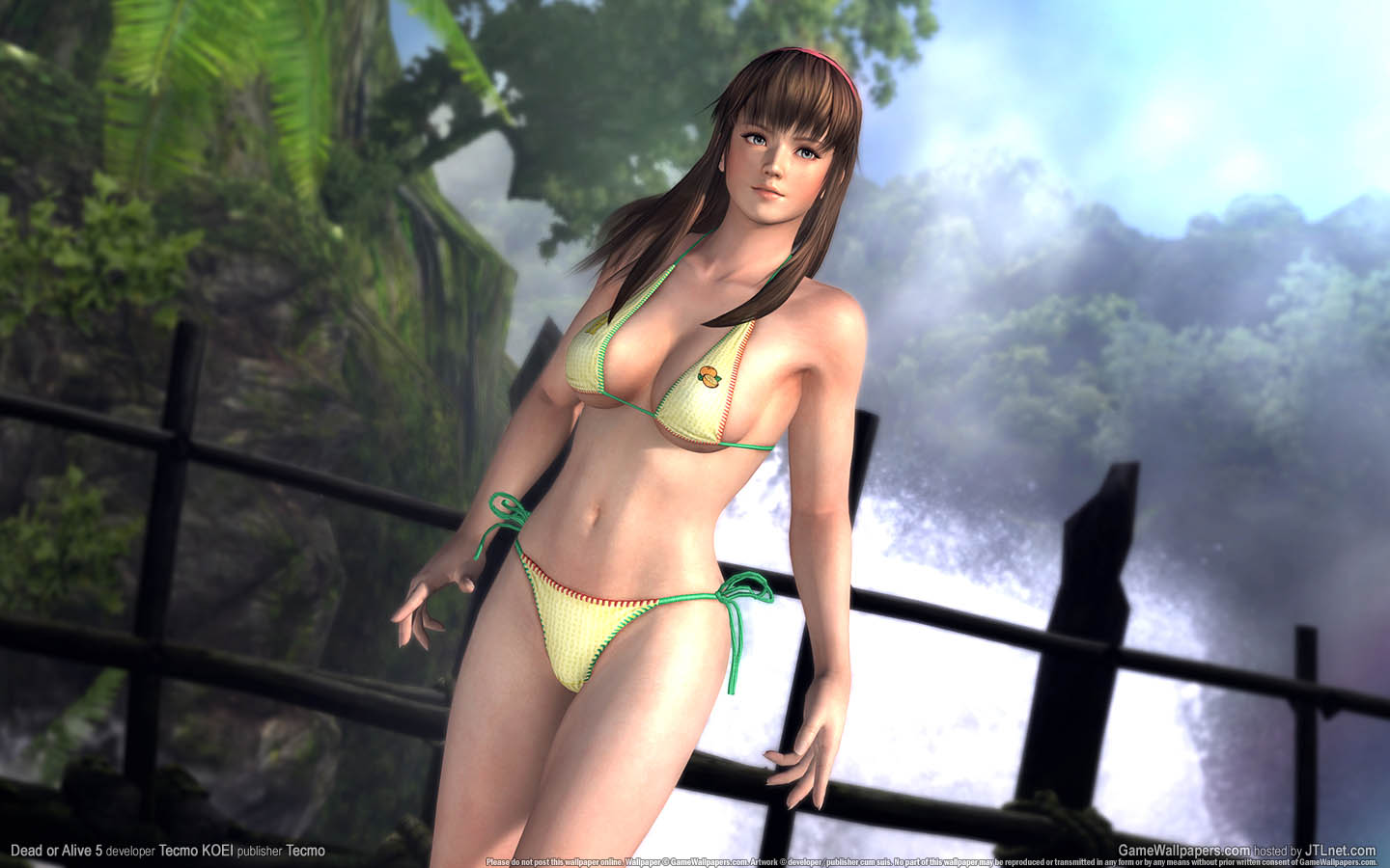 Dead or Alive 5 fondo de escritorio 01 1440x900