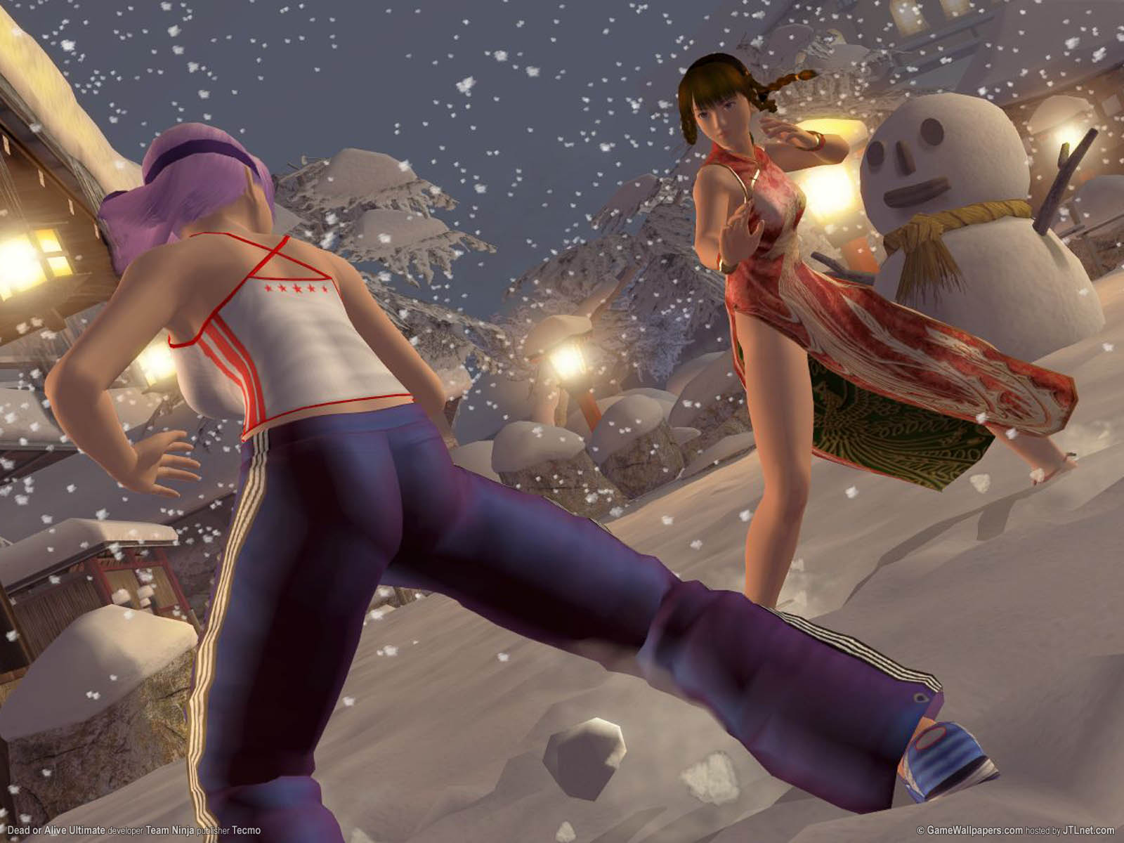 Dead or Alive Ultimate fond d'cran 01 1600x1200