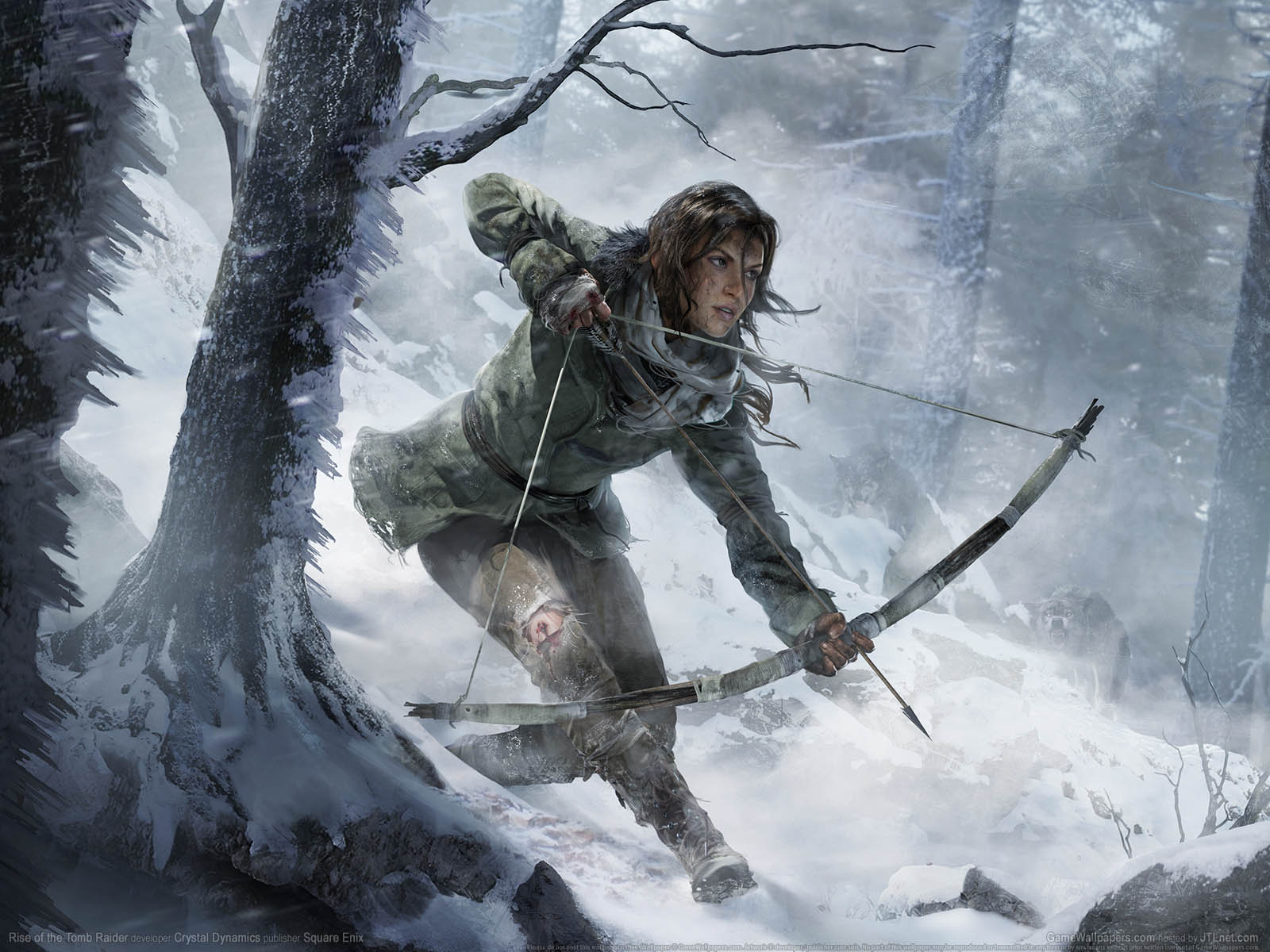 Rise of the Tomb Raider wallpaper 01 1600x1200