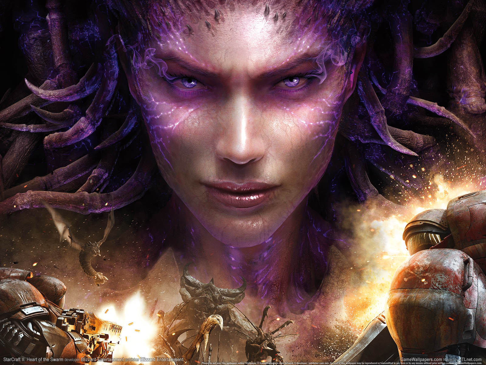 StarCraft 2: Heart of the Swarm achtergrond 01 1600x1200