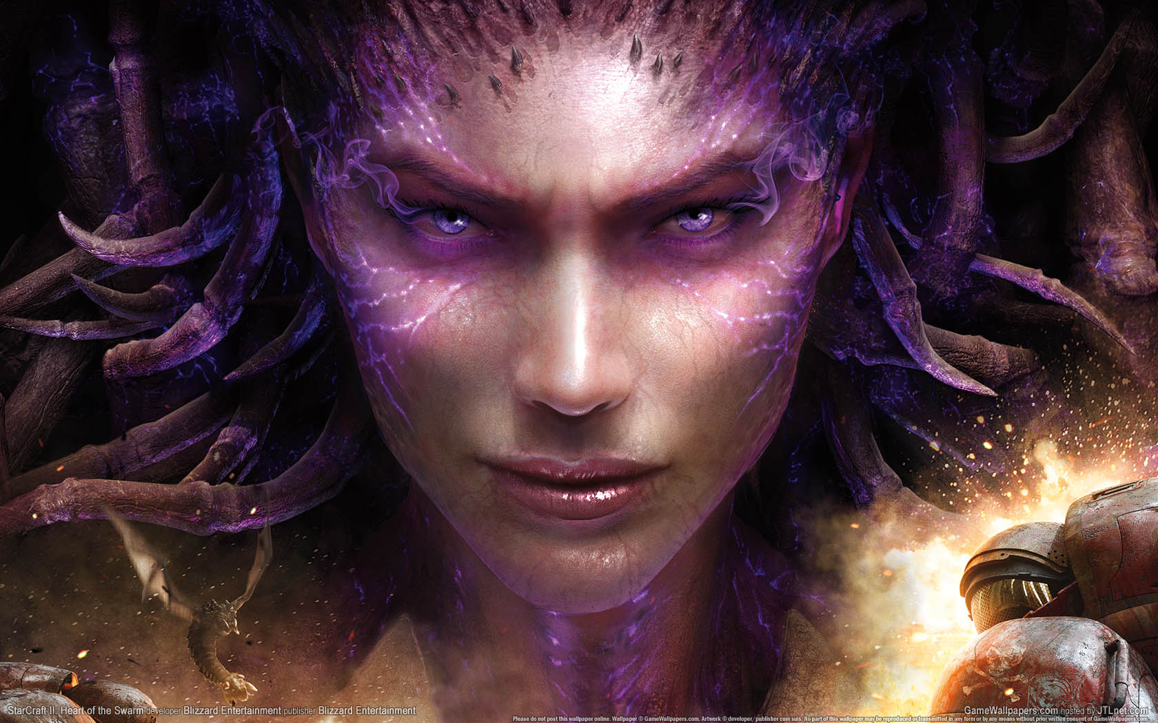 StarCraft 2: Heart of the Swarm achtergrond 01 1680x1050