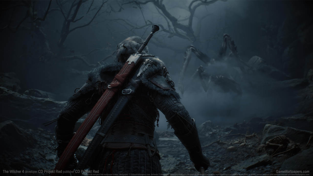 The Witcher 4 Hintergrundbild 01 1280x720