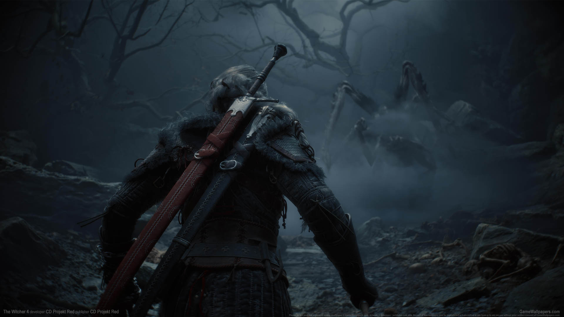 The Witcher 4 wallpaper 01 1920x1080