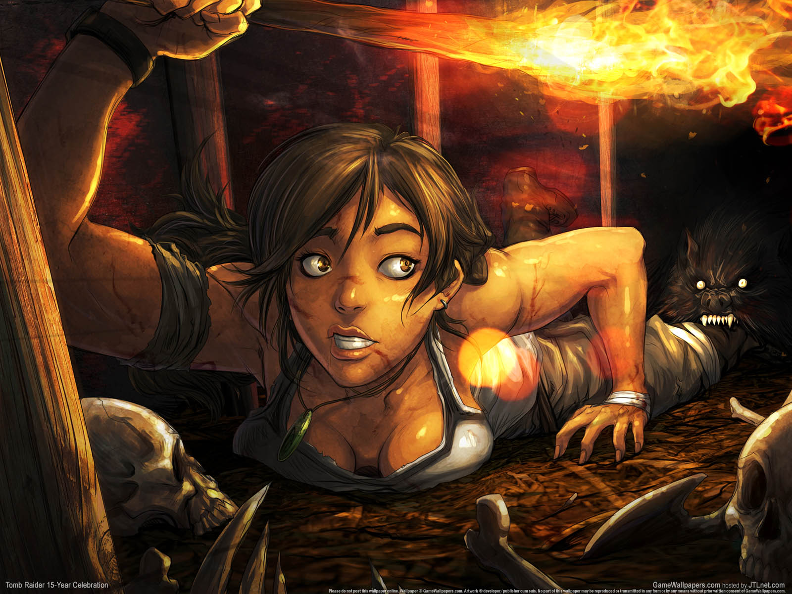 Tomb Raider 15 - Year Celebration fond d'cran 01 1600x1200