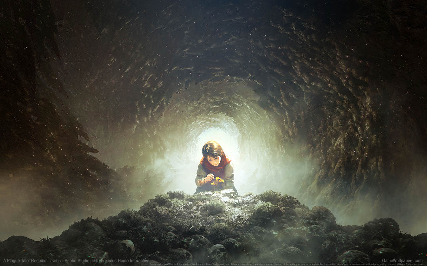 A Plague Tale: Requiem wallpaper 05 1440x900