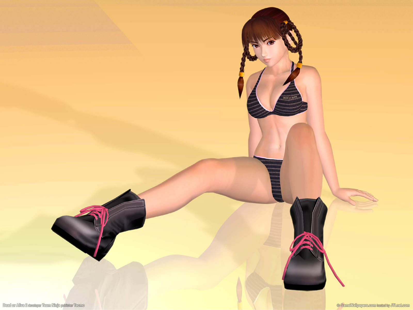Dead or Alive 2 achtergrond 07 1600x1200