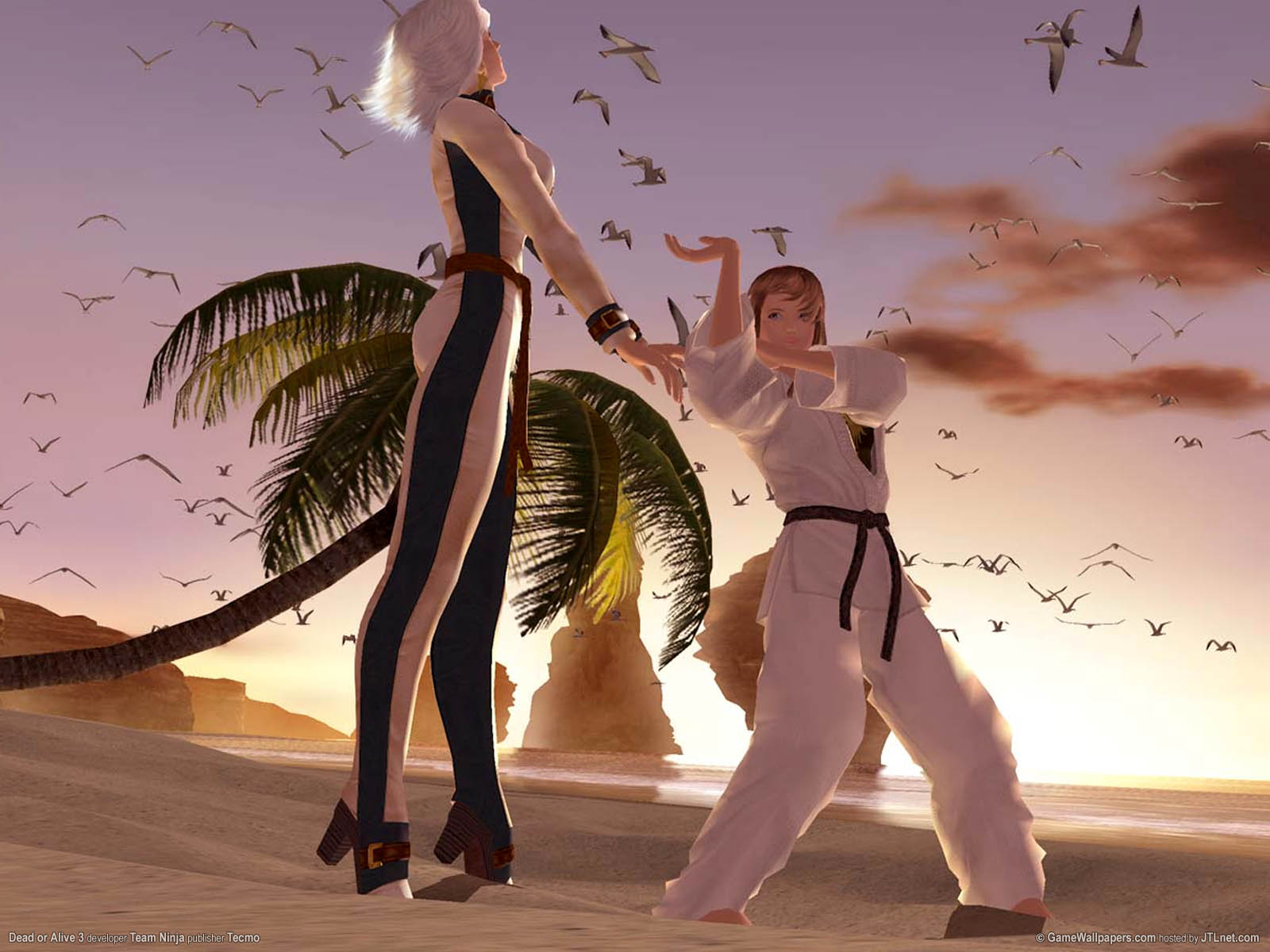 Dead or Alive 3 Hintergrundbild 01 1600x1200