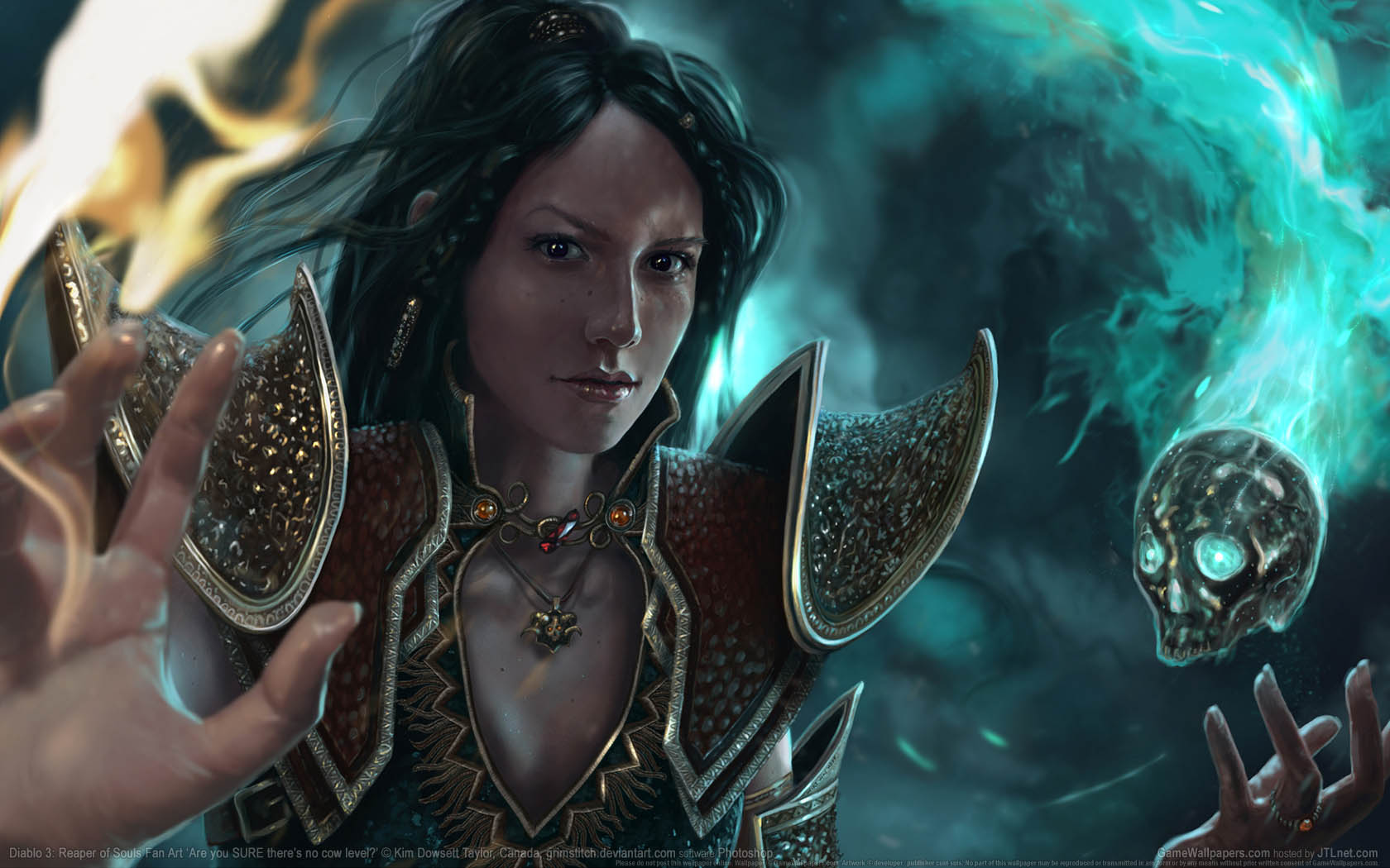 Diablo 3: Reaper of Souls Fan Art achtergrond 09 1680x1050