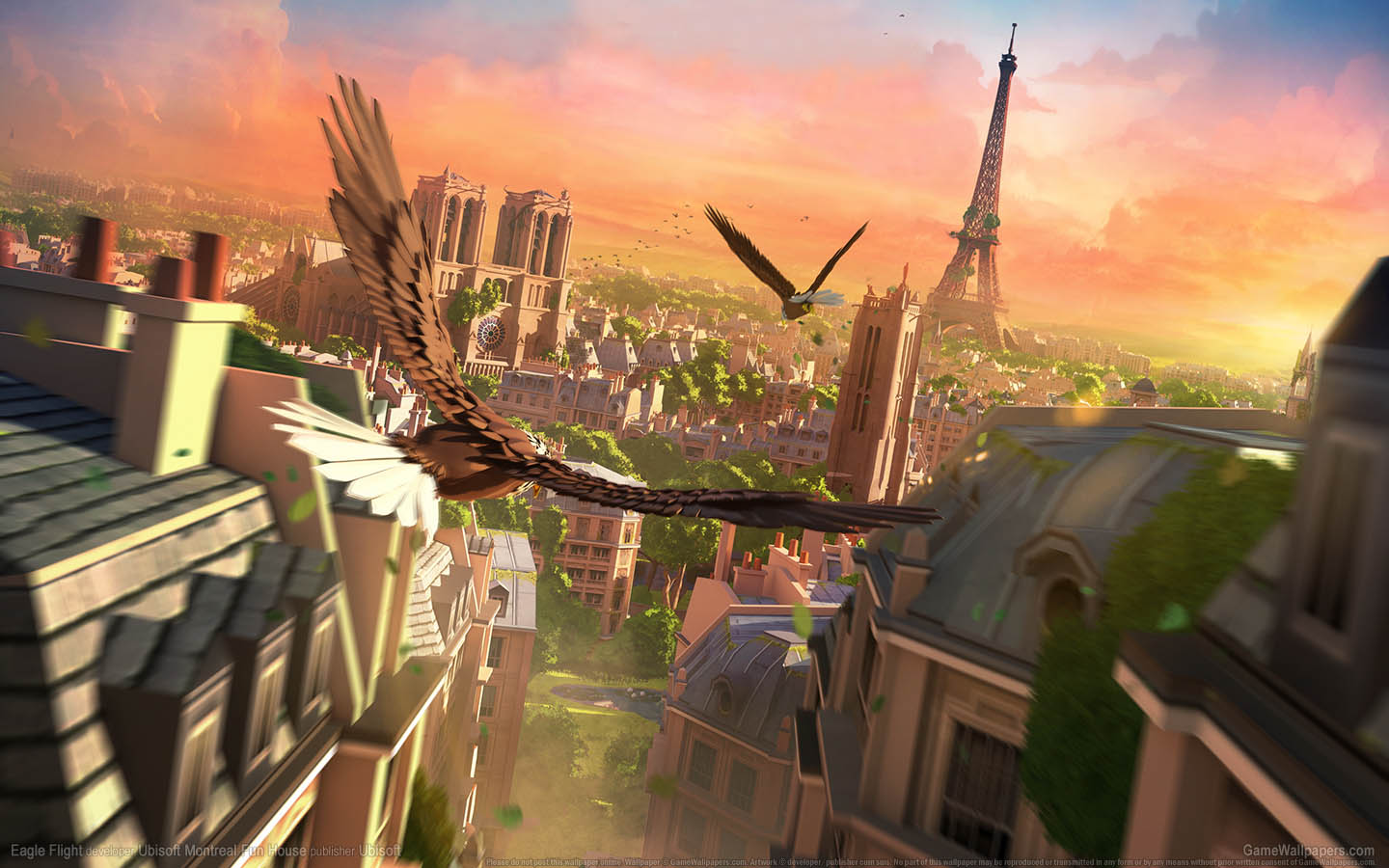 Eagle Flight wallpaper 01 1440x900