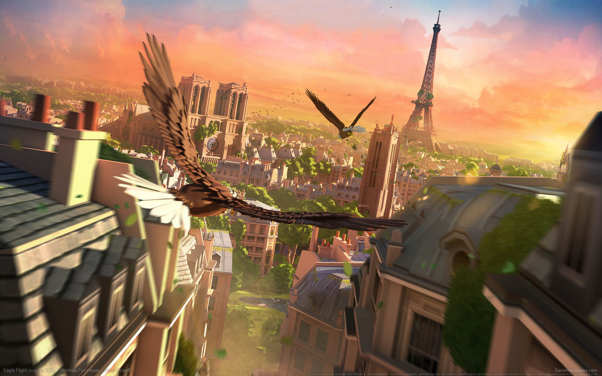 Eagle Flight wallpaper 01 1920x1200