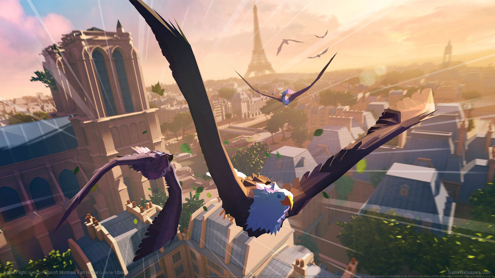 Eagle Flight wallpaper 02 1600x900