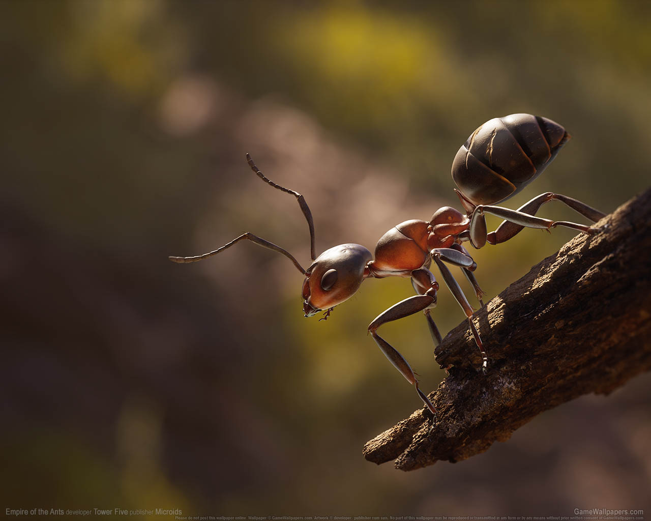 Empire of the Ants wallpaper 01 1280x1024