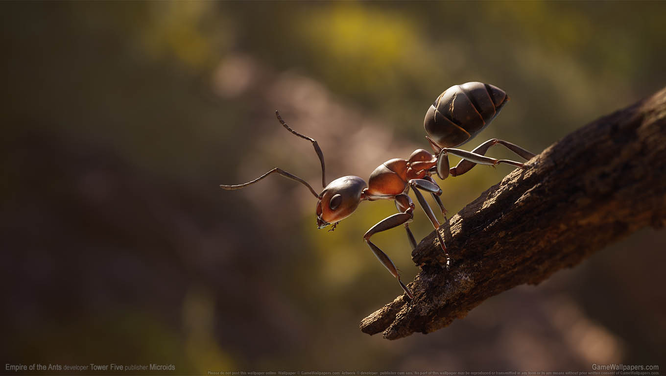 Empire of the Ants fond d'cran 01 1360x768