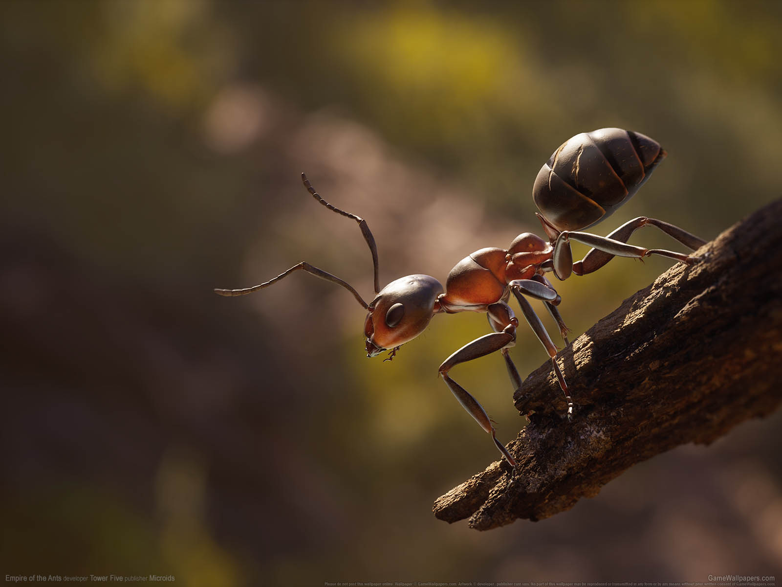 Empire of the Ants wallpaper 01 1600x1200