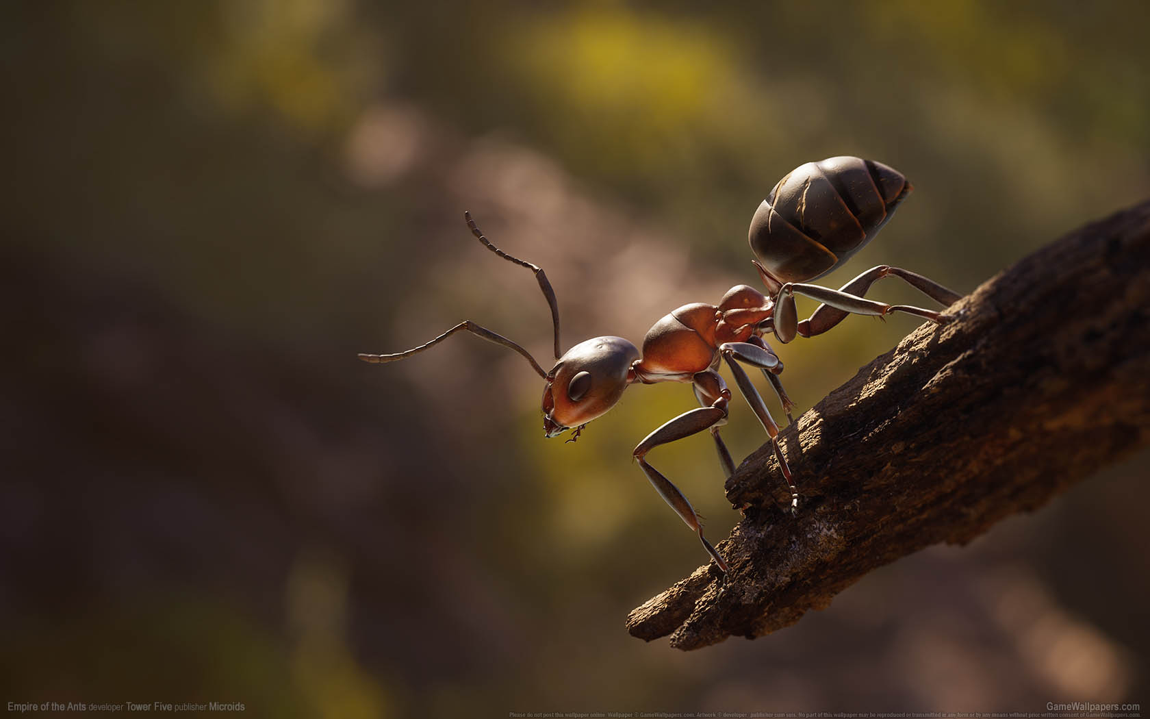 Empire of the Ants wallpaper 01 1680x1050