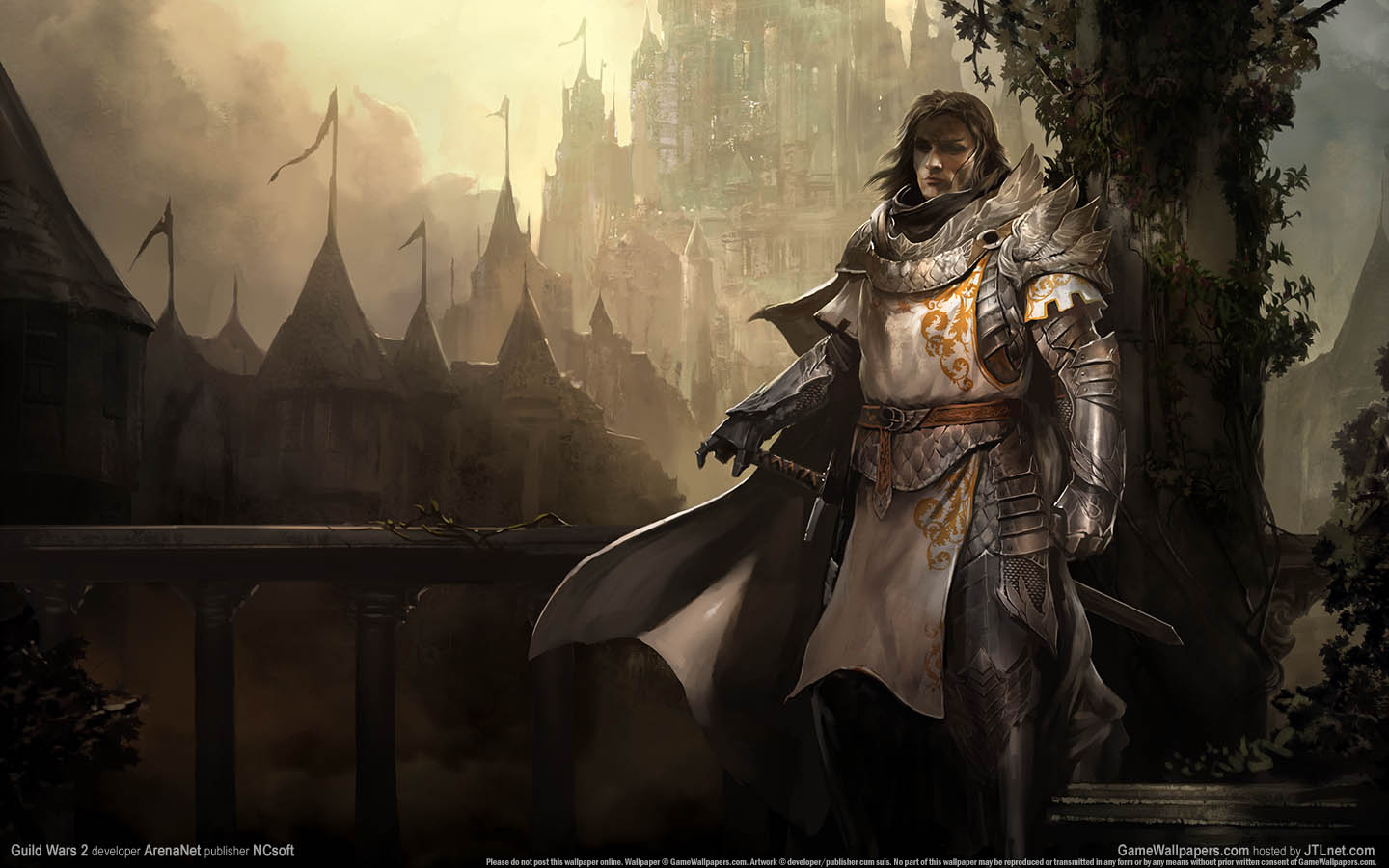 Guild Wars 2 achtergrond 15 1440x900