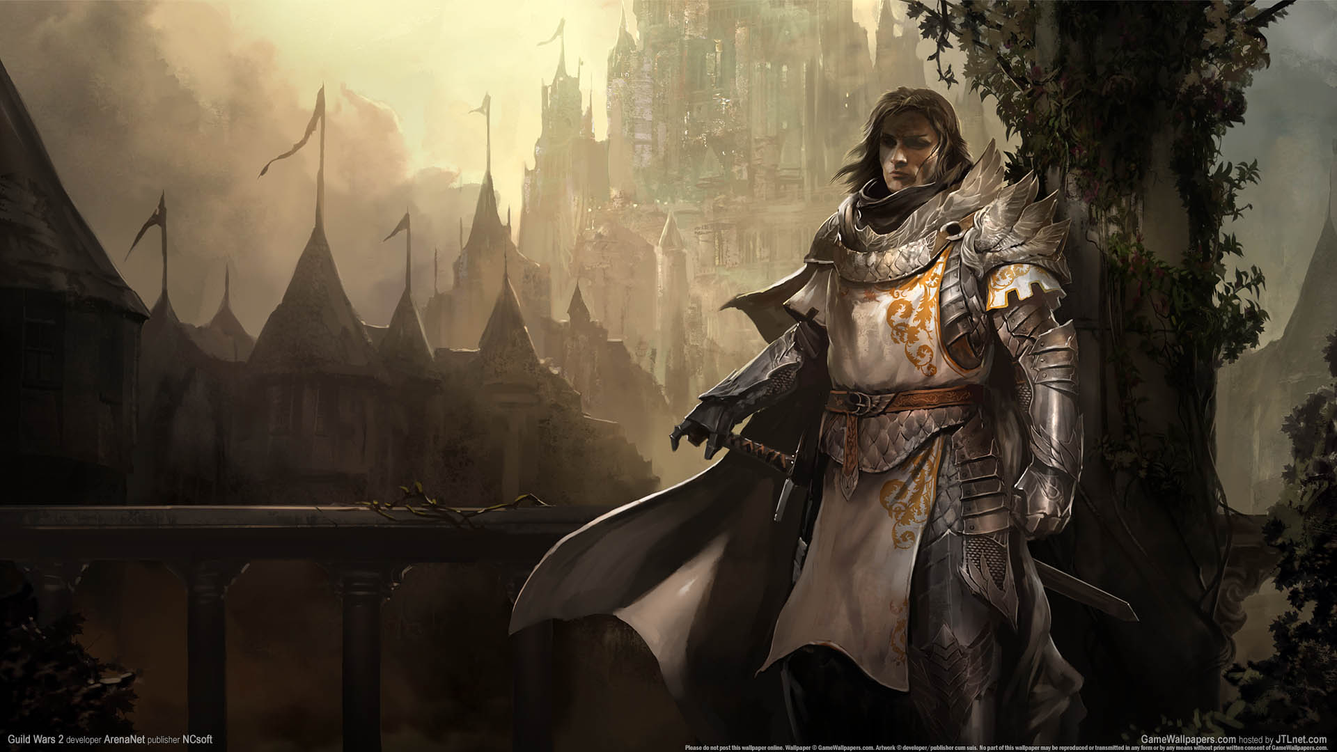 Guild Wars 2 fondo de escritorio 15 1920x1080