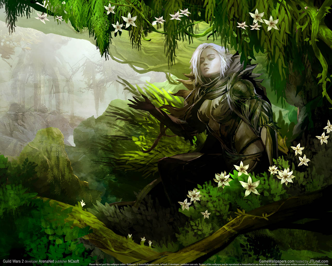Guild Wars 2 achtergrond 23 1280x1024