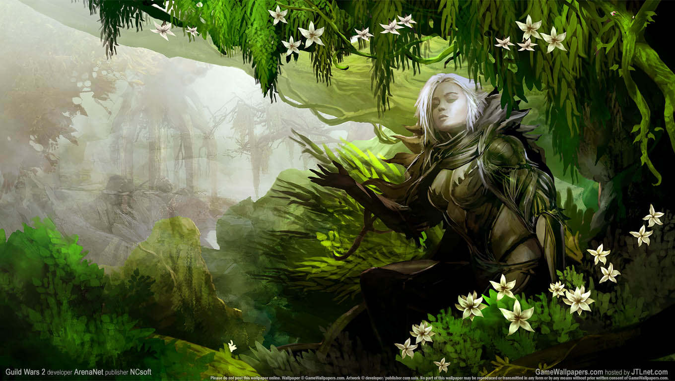Guild Wars 2 wallpaper 23 1360x768