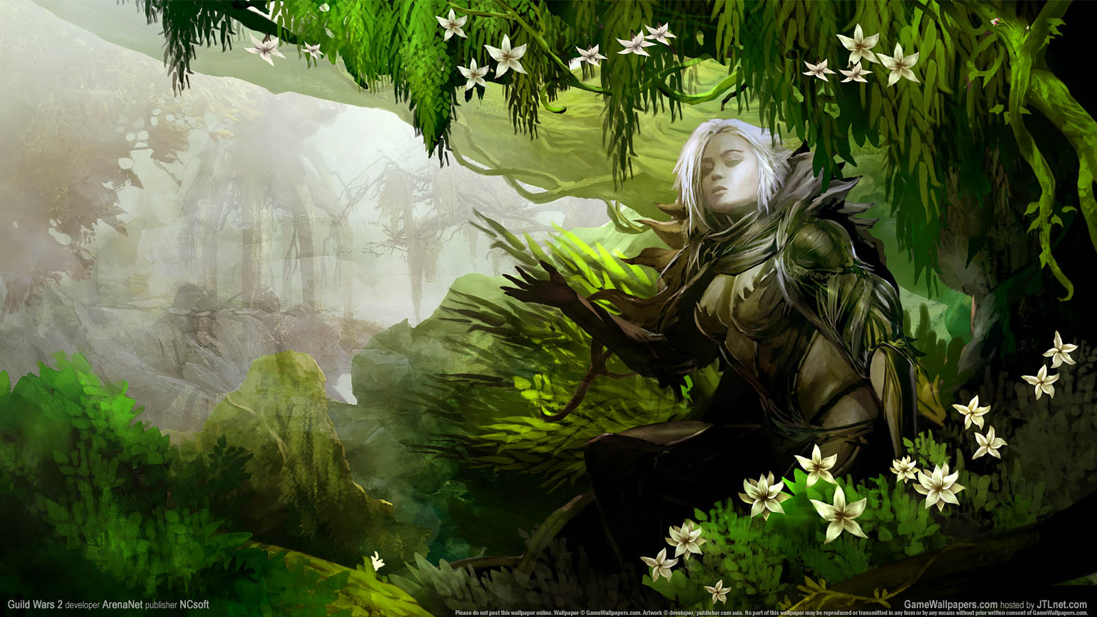 Guild Wars 2 wallpaper 23 1600x900