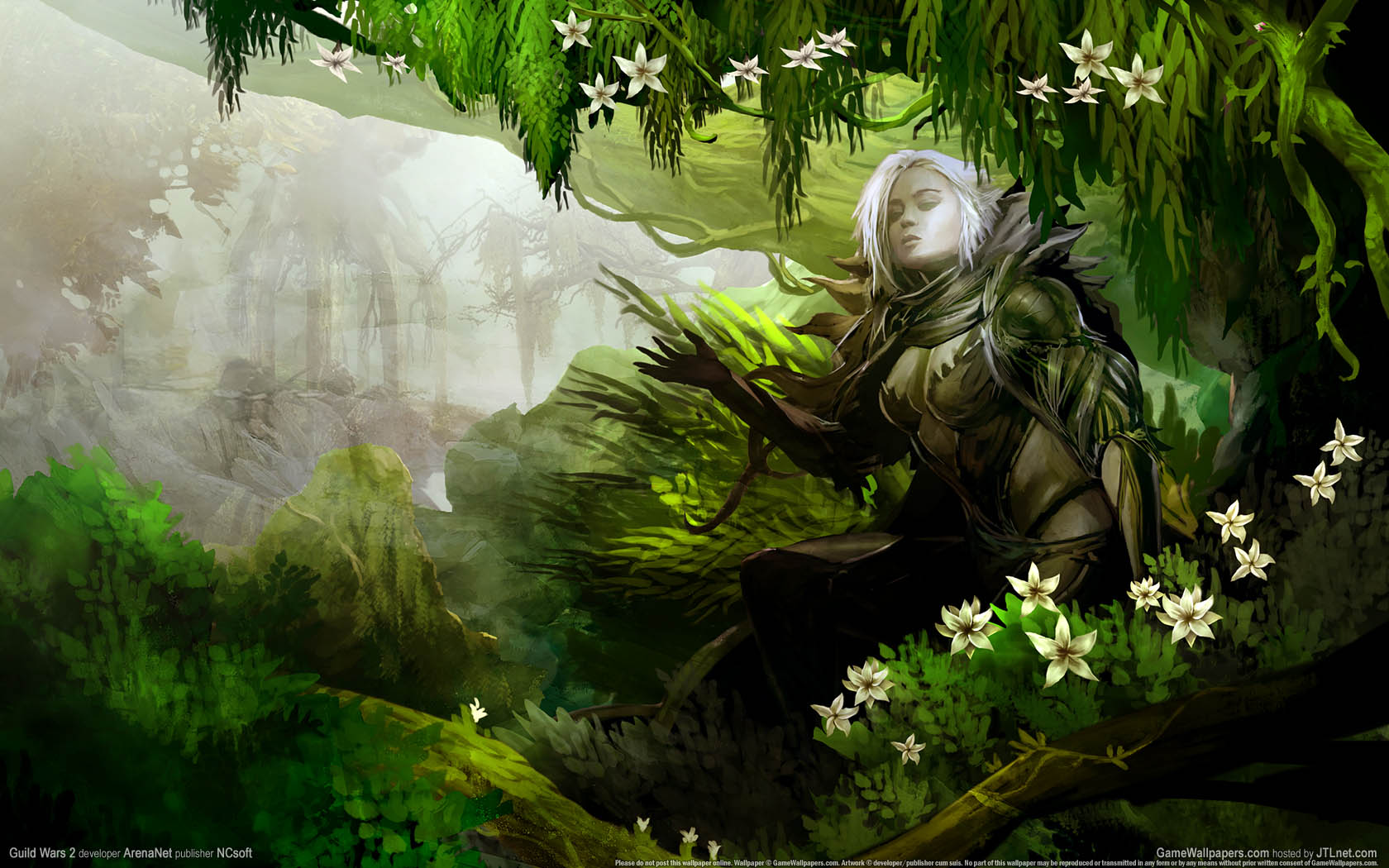 Guild Wars 2 wallpaper 23 1680x1050