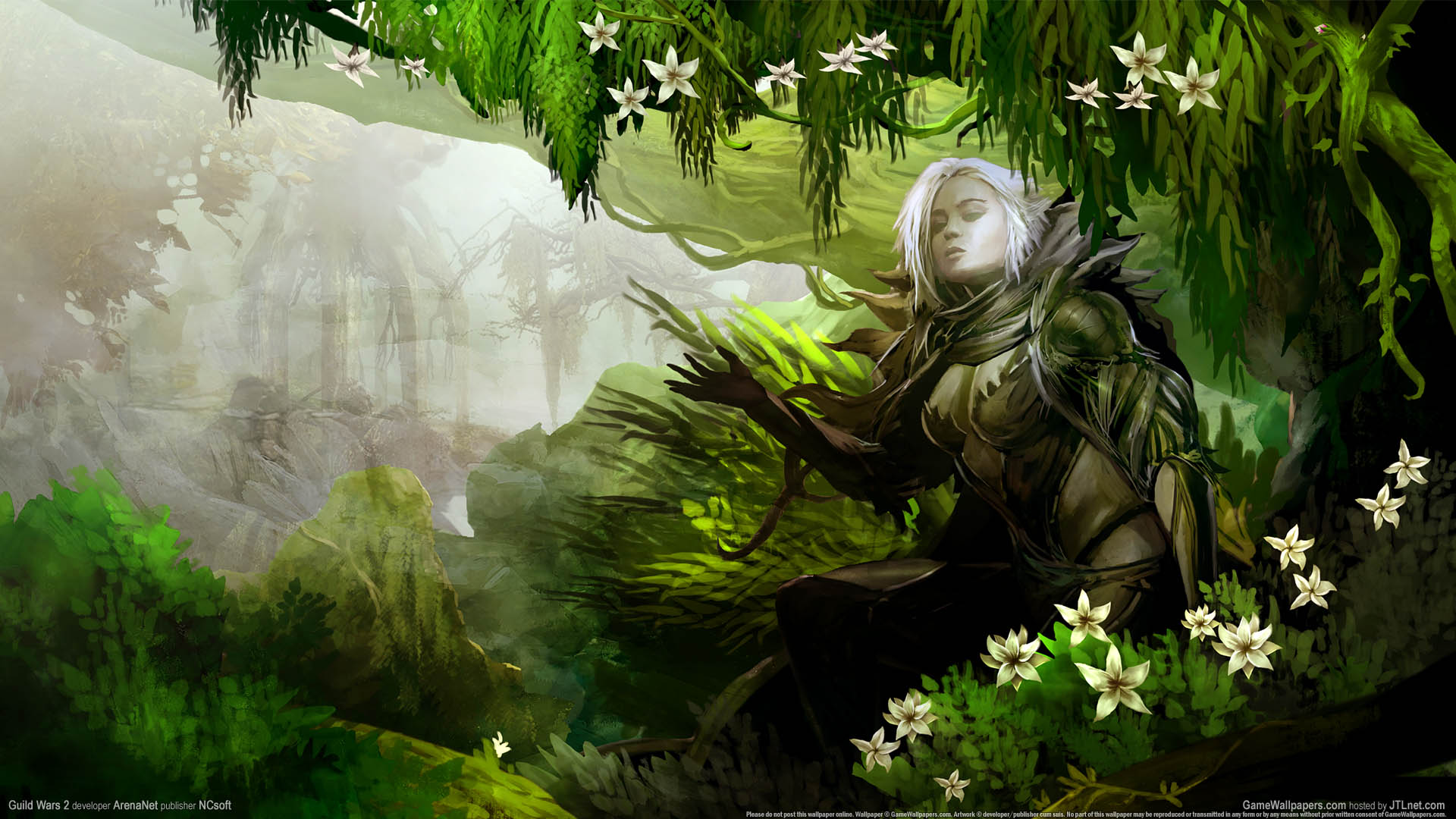 Guild Wars 2 achtergrond 23 1920x1080