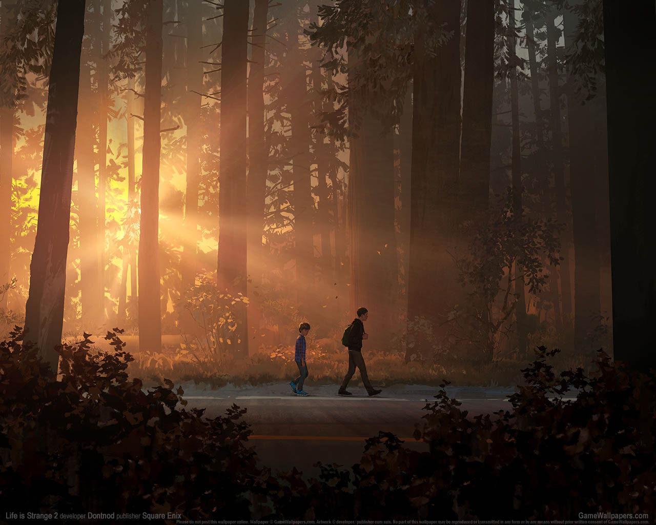 Life is Strange 2 achtergrond 01 1280x1024